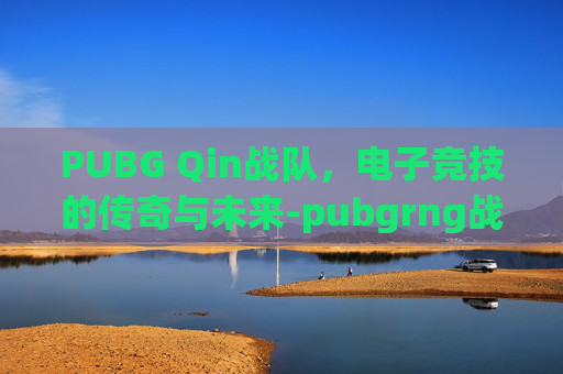 PUBG Qin战队，电子竞技的传奇与未来-pubgrng战队