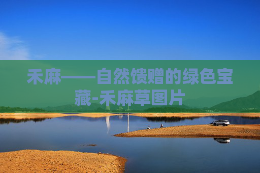 禾麻——自然馈赠的绿色宝藏-禾麻草图片