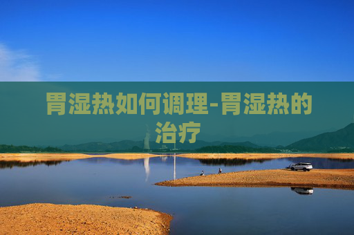 胃湿热如何调理-胃湿热的治疗
