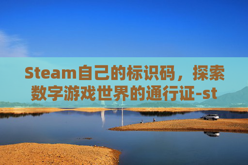 Steam自己的标识码，探索数字游戏世界的通行证-steam标签怎么看