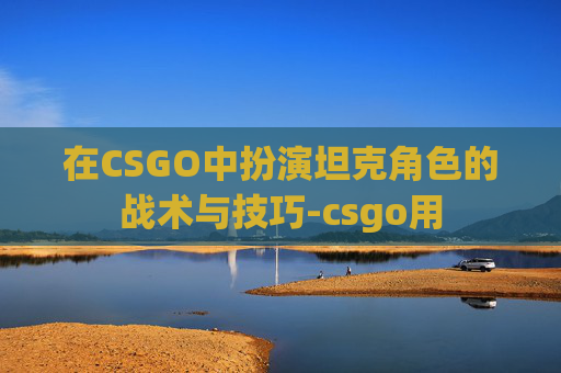 在CSGO中扮演坦克角色的战术与技巧-csgo用