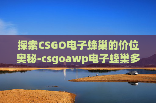 探索CSGO电子蜂巢的价位奥秘-csgoawp电子蜂巢多少钱