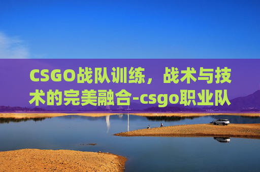 CSGO战队训练，战术与技术的完美融合-csgo职业队训练