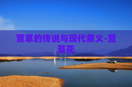 萱草的传说与现代意义-萱草花