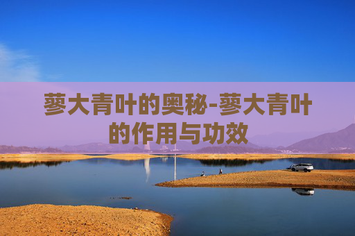 蓼大青叶的奥秘-蓼大青叶的作用与功效