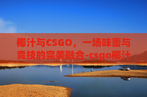 椰汁与CSGO，一场味蕾与竞技的完美融合-csgo椰汁糕百度百科