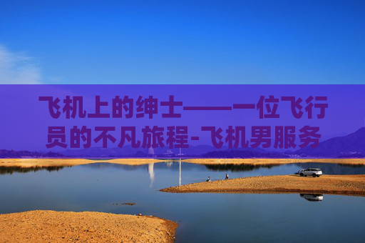 飞机上的绅士——一位飞行员的不凡旅程-飞机男服务员称呼叫什么