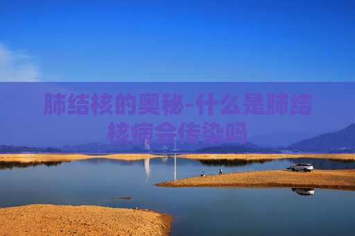 肺结核的奥秘-什么是肺结核病会传染吗