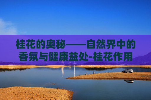 桂花的奥秘——自然界中的香氛与健康益处-桂花作用有哪些?