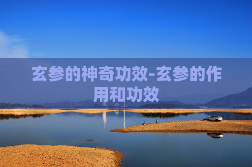 玄参的神奇功效-玄参的作用和功效