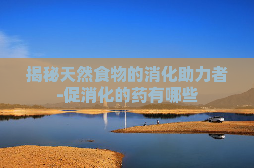 揭秘天然食物的消化助力者-促消化的药有哪些