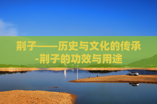 荆子——历史与文化的传承-荆子的功效与用途