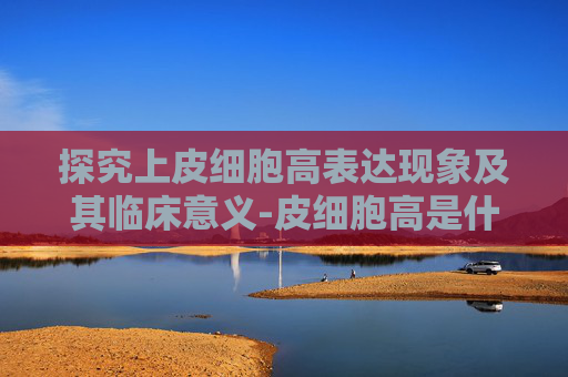 探究上皮细胞高表达现象及其临床意义-皮细胞高是什么原因