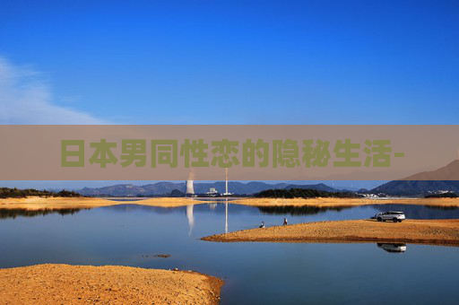 日本男同性恋的隐秘生活-