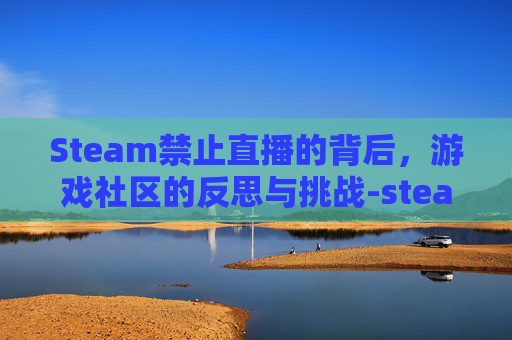 Steam禁止直播的背后，游戏社区的反思与挑战-steam没权限直播