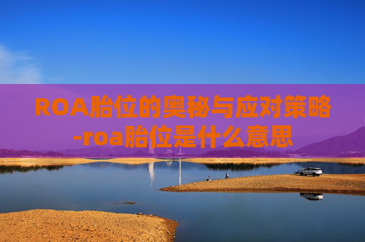 ROA胎位的奥秘与应对策略-roa胎位是什么意思