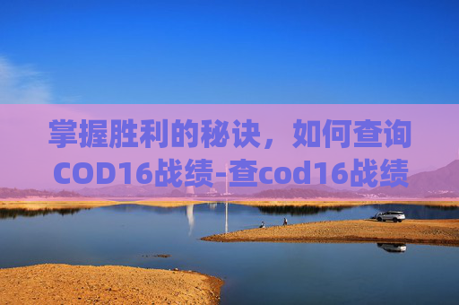掌握胜利的秘诀，如何查询COD16战绩-查cod16战绩的app