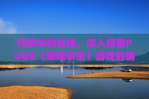 代码中的战场，深入探索PUBG（绝地求生）游戏的编程奥秘-代码public