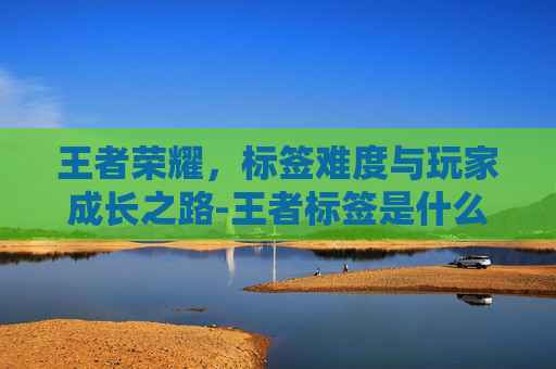 王者荣耀，标签难度与玩家成长之路-王者标签是什么