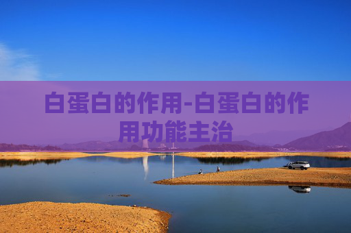 白蛋白的作用-白蛋白的作用功能主治