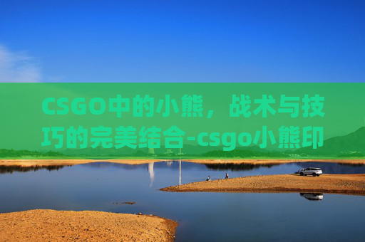 CSGO中的小熊，战术与技巧的完美结合-csgo小熊印花