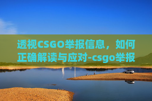 透视CSGO举报信息，如何正确解读与应对-csgo举报信息怎么看出来