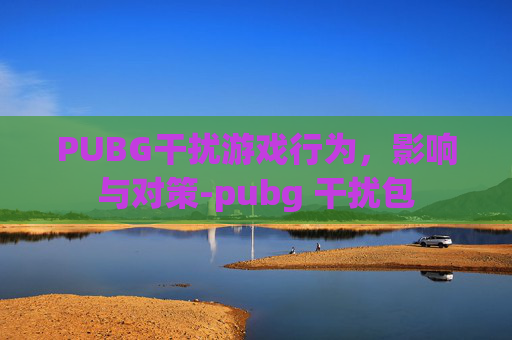 PUBG干扰游戏行为，影响与对策-pubg 干扰包