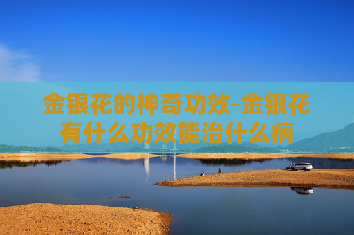 金银花的神奇功效-金银花有什么功效能治什么病