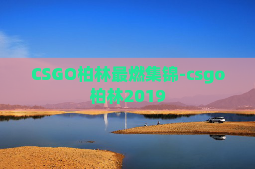 CSGO柏林最燃集锦-csgo柏林2019