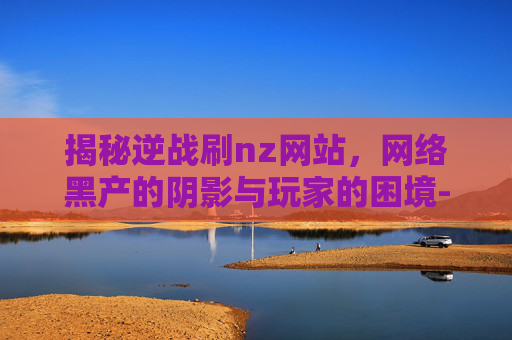 揭秘逆战刷nz网站，网络黑产的阴影与玩家的困境-逆战带刷