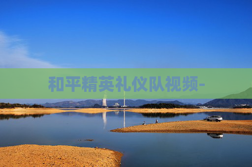 和平精英礼仪队视频-