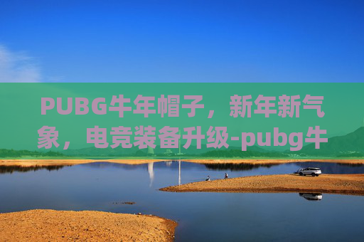 PUBG牛年帽子，新年新气象，电竞装备升级-pubg牛仔帽