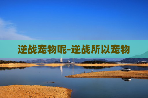 逆战宠物呢-逆战所以宠物