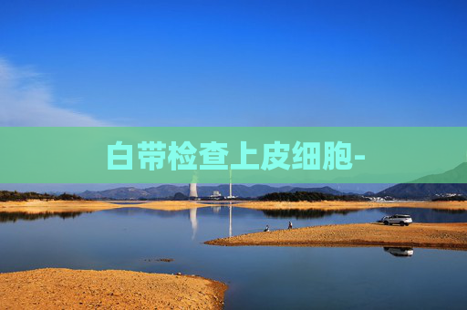 白带检查上皮细胞-