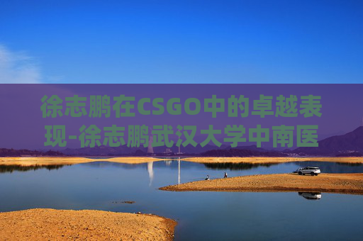 徐志鹏在CSGO中的卓越表现-徐志鹏武汉大学中南医院