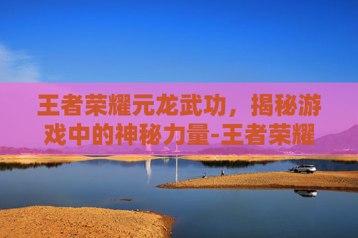 王者荣耀元龙武功，揭秘游戏中的神秘力量-王者荣耀元龙武功值多少钱