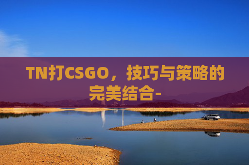 TN打CSGO，技巧与策略的完美结合-