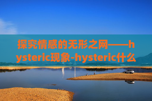 探究情感的无形之网——hysteric现象-hysteric什么牌子