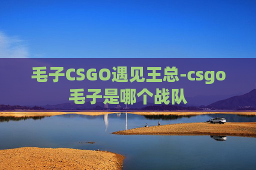 毛子CSGO遇见王总-csgo毛子是哪个战队