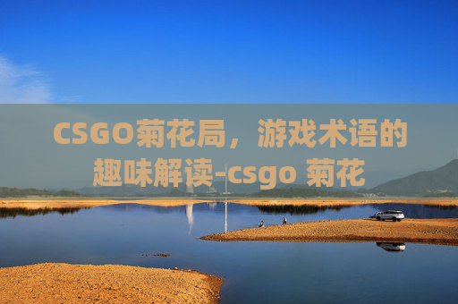 CSGO菊花局，游戏术语的趣味解读-csgo 菊花