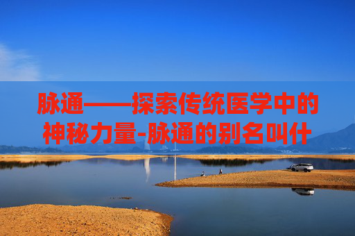 脉通——探索传统医学中的神秘力量-脉通的别名叫什么名字