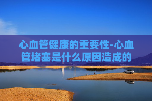 心血管健康的重要性-心血管堵塞是什么原因造成的