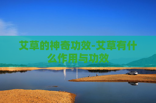 艾草的神奇功效-艾草有什么作用与功效