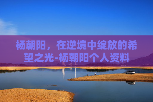 杨朝阳，在逆境中绽放的希望之光-杨朝阳个人资料
