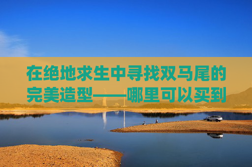 在绝地求生中寻找双马尾的完美造型——哪里可以买到你的专属双马尾？-pubg双马尾在哪买