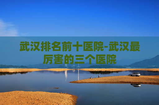 武汉排名前十医院-武汉最厉害的三个医院