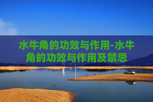 水牛角的功效与作用-水牛角的功效与作用及禁忌