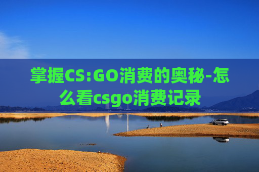 掌握CS:GO消费的奥秘-怎么看csgo消费记录