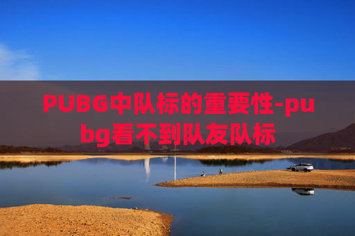 PUBG中队标的重要性-pubg看不到队友队标 PUBG中队标的重要性-pubg看不到队友队标