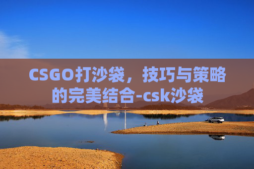 CSGO打沙袋，技巧与策略的完美结合-csk沙袋